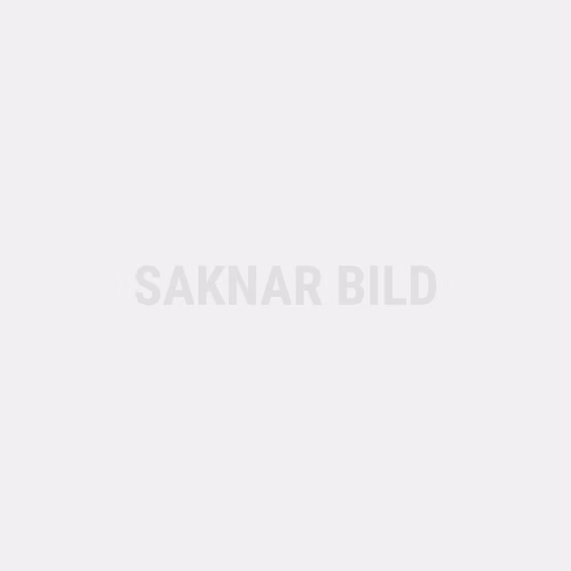 Bamse Memo