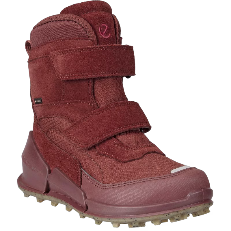 Ecco Biom K2 GTX Vinterkängor, Andorra, 33