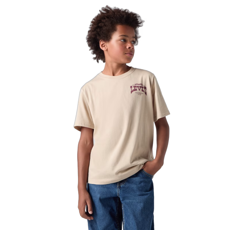 Levi's LVB Gallopping Free T-shirt, White Pepper, 110