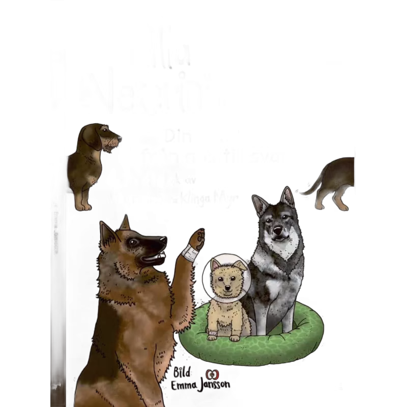 Lilla veterinärskolan - Din hund från nos till svans