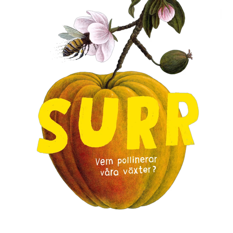 Rabén &  Sjögren Faktabok Surr - Vem pollinerar våra växter?