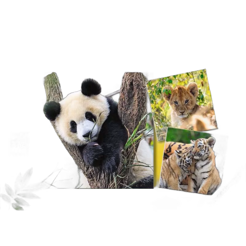Ravensburger Pussel Panda, Lion and Tiger 3x49 Bitar